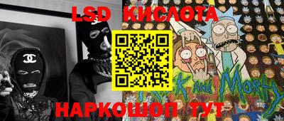 гидра Краснодар